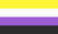 the nonbinary pride flag.